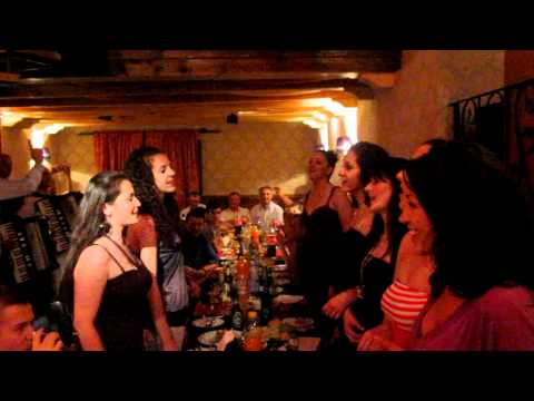 skd Izvor pariz gosti kod kud Zvecan Vidovdan 2010 - Domacine