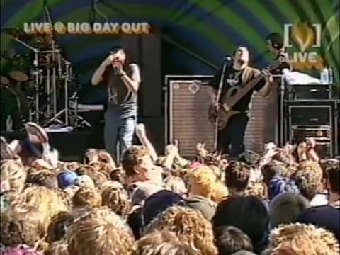 Alien Ant Farm  - Big Day Out 2002