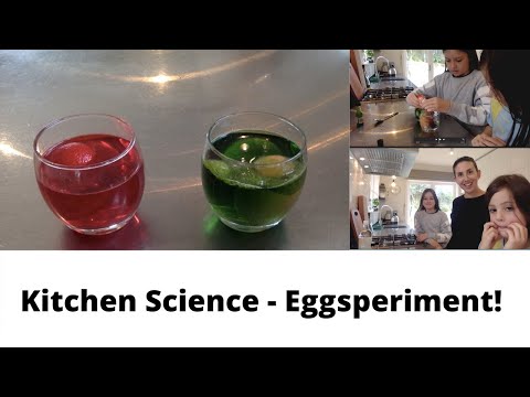 Kitchen Science   Eggsperiment Part 1