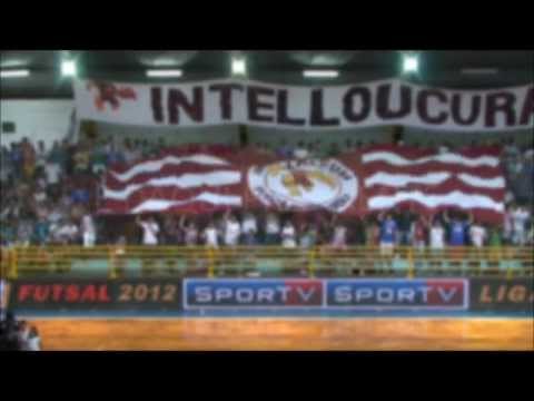 Torcedor, faça a diferença! #EUSOUINTELLI