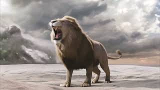 Aslan Roar (Lion Roar) Whatsapp Status  Insta Stat