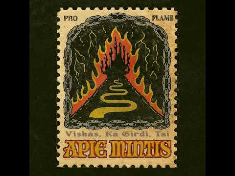 PROFLAME - IMK PARUKYSI (feat. OG Version)