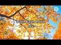 Main Kaun Hoon Full Lyrics Secret Superstar Zaira Wasim Aamir Khan Amit Trivedi Meghna