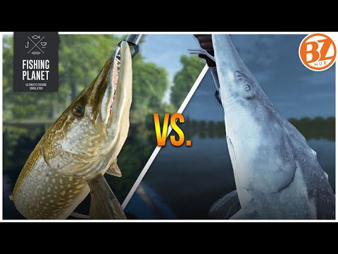 [SETTLED] Pike vs. Sturgeon: Should you go to San Joaquin Delta? | Fishing Planet