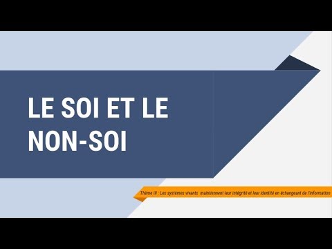 Le SOI et le NON SOI