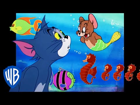 Capa de Tom & Jerry em Português | Brasil | Aventuras na Água