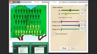 Microevolution Lab Help