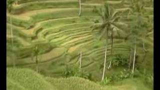 preview picture of video 'Bali inland Scenic View'