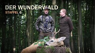 Der Wunderwald Staffel 6 | Starke Böcke - Jagdkrone