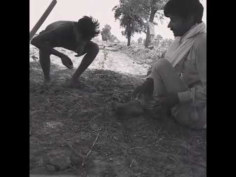 Fir To Gulam