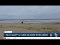 'May Gray' and 'June Gloom' explained