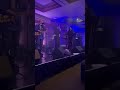 Jive Soweto With Sipho Hotstix Mabuse