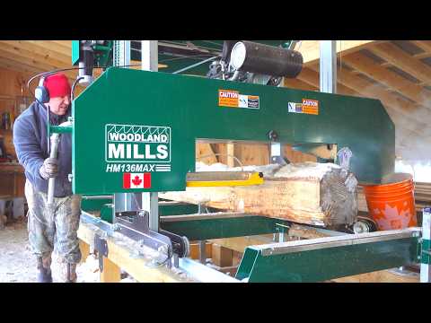 Defrosting the Dream: A Day in the Frozen Wood Yard