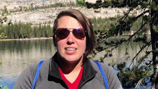 Mission, Vision, Values