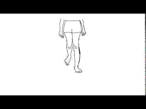 Standard Female Walk