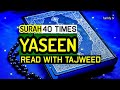 Surah Yasin 40 Times FOR THE WHOLE NIGHT From All Your Problems
