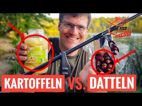 Gregors ALTERNATIVKÖDER für KARPFEN: KARTOFFEL und DATTEL statt Boilie