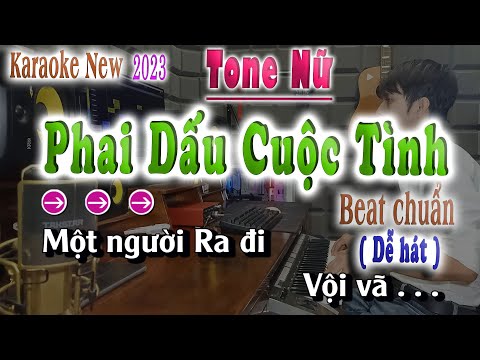 Phai dấu Cuộc Tình | Karaoke Tone Nữ Beat Chuẩn ( Nhạc Hoa Lời Việt 2023 ) song nhien karaoke