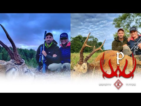 Roe Deer Hunting in Sweden with Kristy Titus