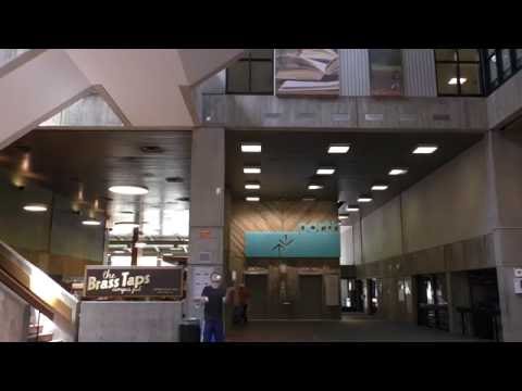 5 ball 933 - Matan Presberg - World Record