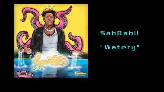 SahBabii-Watery (Official Audio)
