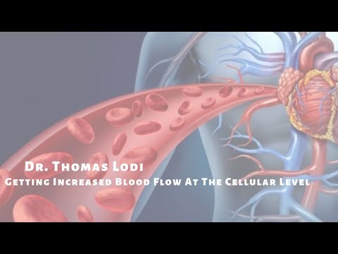 BEMER Dr. Thomas Lodi - Microcirculatory Bloodflow
