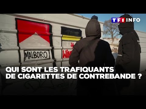 Qui sont les trafiquants de cigarettes de contrebande ?｜TF1 INFO
