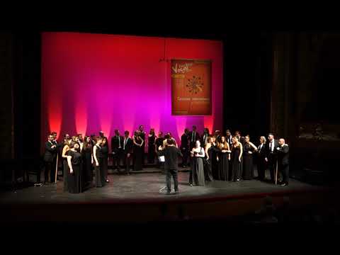 FVT 2019 - El León de Oro