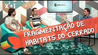 Miniatura do vídeo