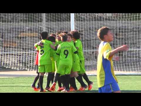 ALEVIN C ALFAZ   FOIETES A