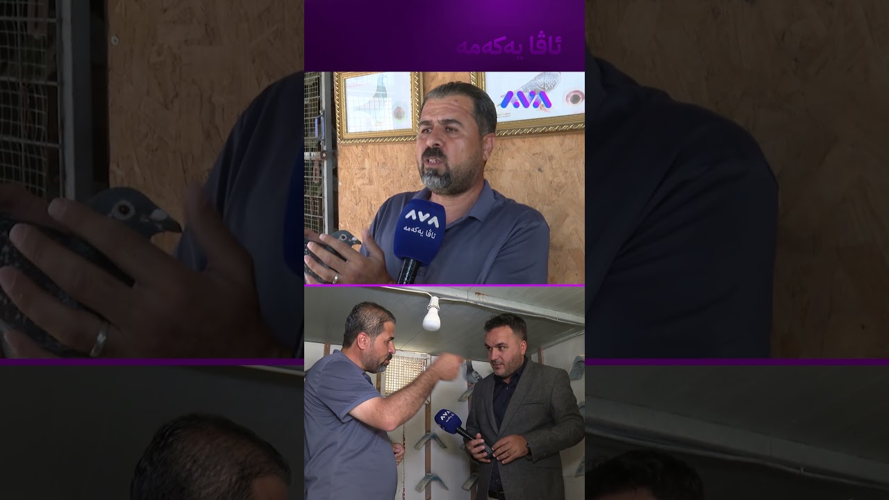 ڤیدیۆ | کۆتر هەیە نرخەکەی دەگاتە 3 دەفتەر دۆلار