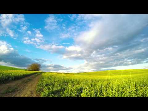 Clouds over the Rapeseed Field. Time Lapse