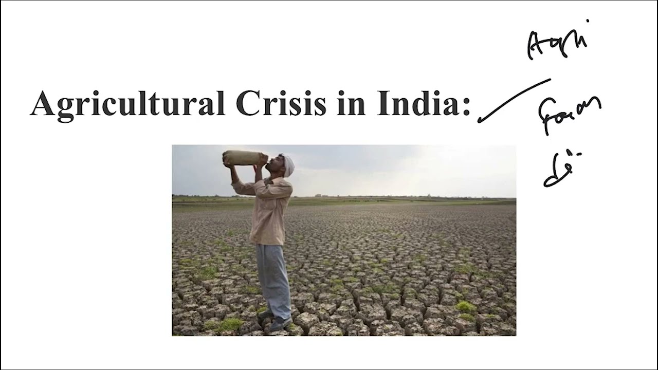 Video thumbnail for sustainable farming alternatives