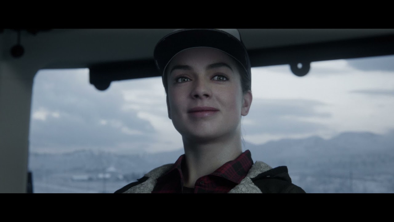 Диск Farming Simulator 22 Collector's Edition (DVD) для PC video preview