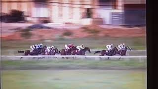 Trailblazer beats Stepping Stone in 1992