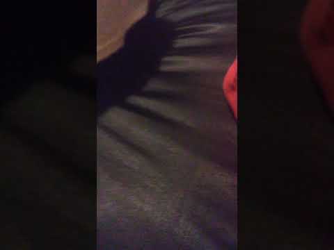 Reesemoneyy - freestyle