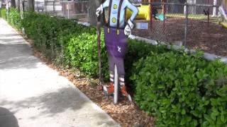 preview picture of video 'A look @ some of the murals in Lake Placid, FL.  (Part 1)'