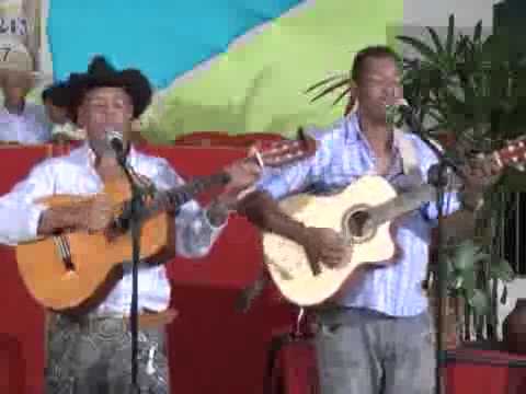 programa chora viola