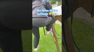 Meine Mutter 💀😂😭 #equestrian #horse #woodenhorse #holzpferd #funny #comedy #horses #pony #hh
