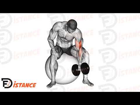 Curl concentré avec haltère sur ballon (Swiss Ball) - Exercice Curl concentré avec haltère sur ballon (Swiss Ball) en vidéo