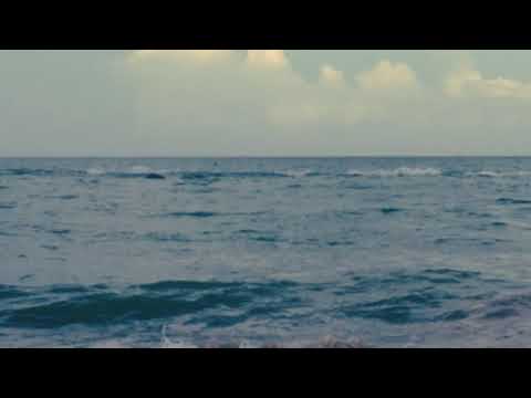 Matheus de Bezerra - Te ver sorrindo é o meu papel