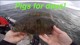 Smallmouth Bass Fishing | Fishing Mille Lacs Lake