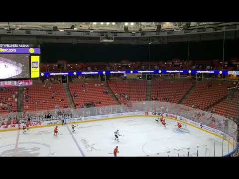 Greenville Swamp Rabbits vs Worcester Railers #hockey #swamprabbits #echl