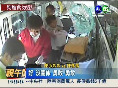 餵食誤當搶食 土狗狠咬6歲男童