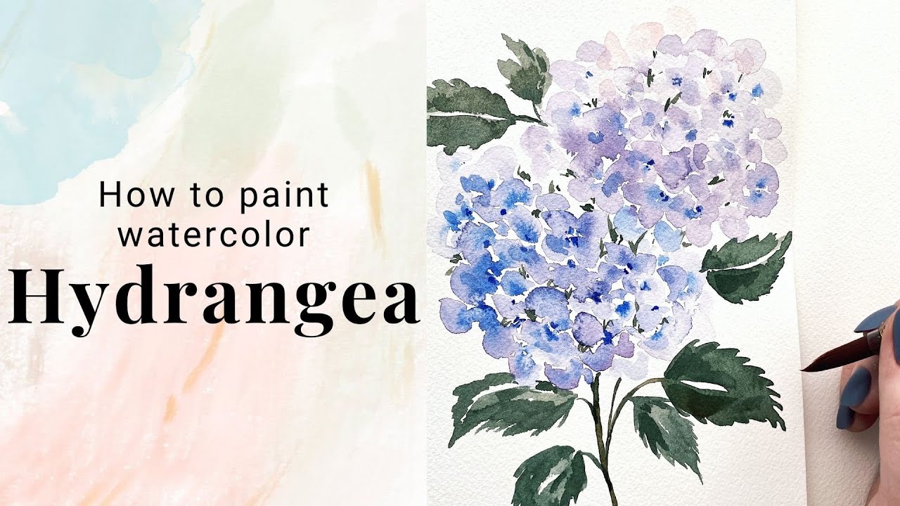 How to paint watercolor Hydrangea - watercolor flower tutorial - day 19