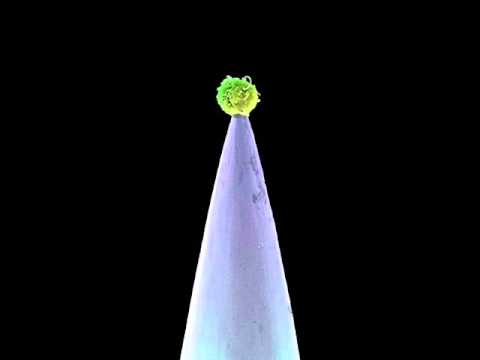 Peter Gabriel ~ Blood of Eden (New Blood Version)