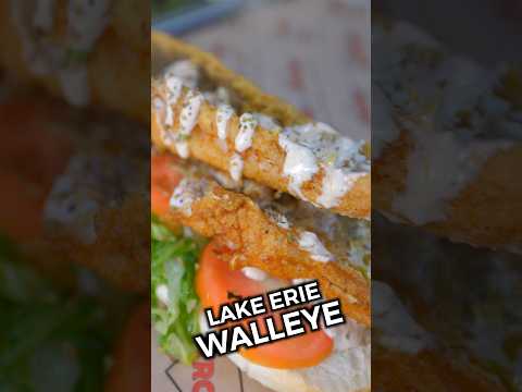 The Best Fish For Sandwiches