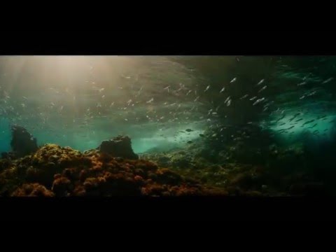 EVOLUTION - Lucile Hadzihalilovic (trailer)
