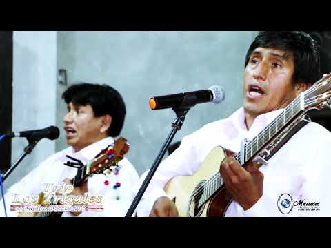 TRIO LOS TRIGALES  COLECCIÓN DE ALABANZA