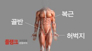 내 몸의 중심 코어운동 바로알기 [건강플러스] 미리보기